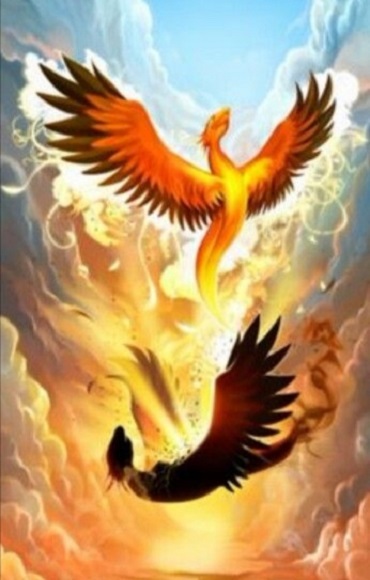 La résurrection du Phoenix, une initiation spirituelle www.energyclaire.com