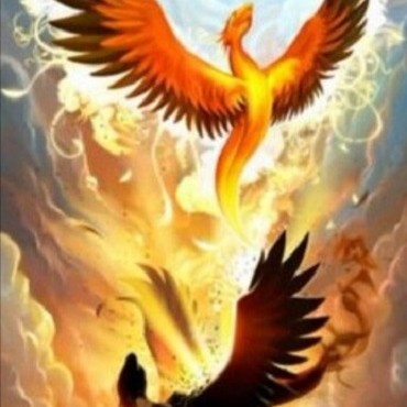 La résurrection du Phoenix, une initiation spirituelle www.energyclaire.com